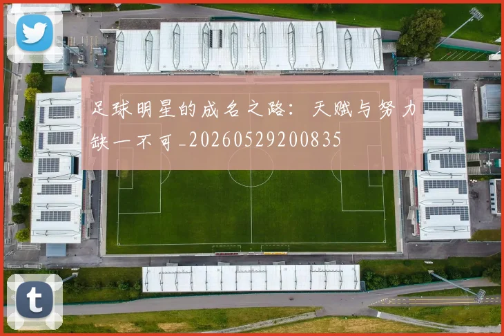 足球明星的成名之路:天赋与努力缺一不可_20260529200835