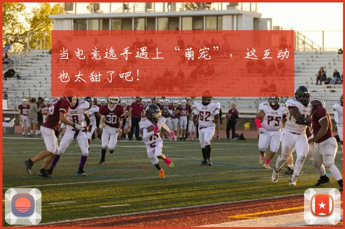 当电竞选手遇上“萌宠”，这互动也太甜了吧！