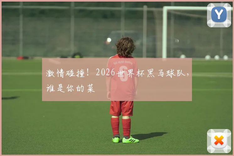 激情碰撞！2026世界杯黑马球队，谁是你的菜