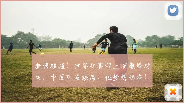 激情碰撞！世界杯赛程上演巅峰对决，中国队虽缺席，但梦想仍在！